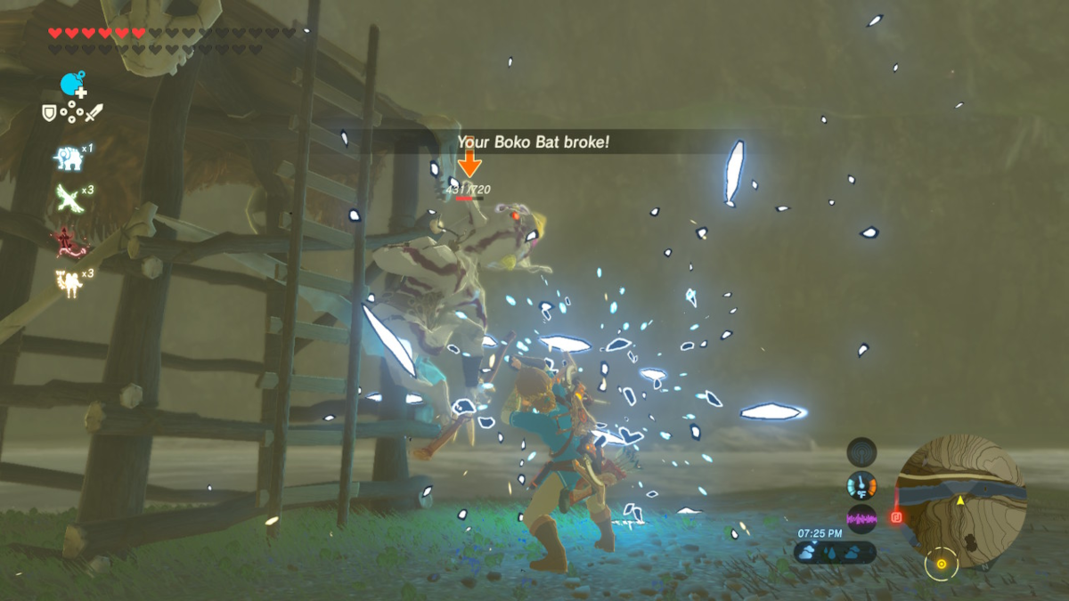 Breath of the Wild Durability